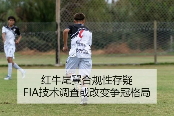 红牛尾翼合规性存疑 FIA技术调查或改变争冠格局